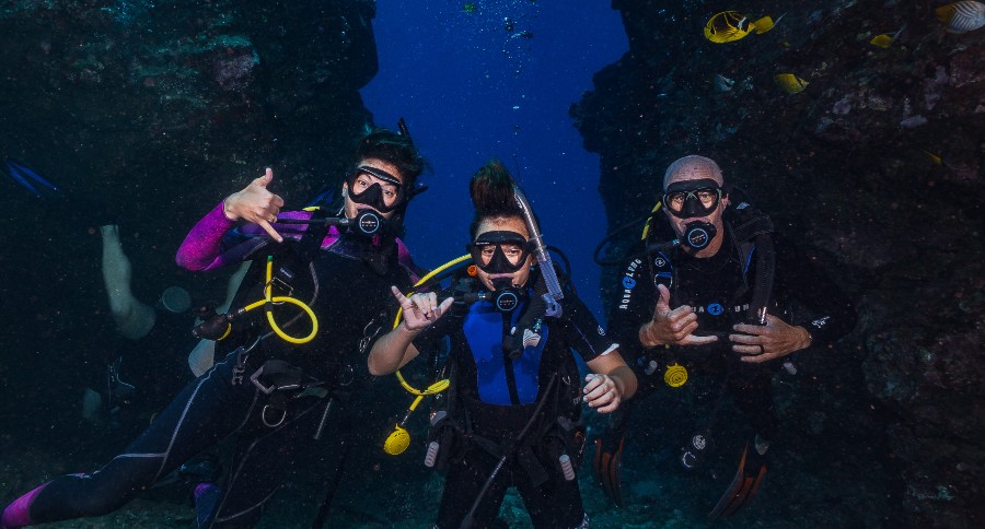 9 Questions All Beginner Divers Have About Diving