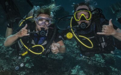 Maui’s Five Best Hidden Dive Spots
