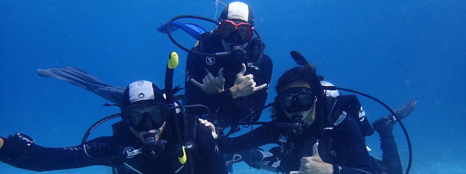 Three Maui Diving Trips That Shouldn’t Be Missed Dive Maui